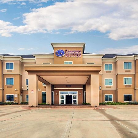 Comfort Suites Fort Worth South Εξωτερικό φωτογραφία